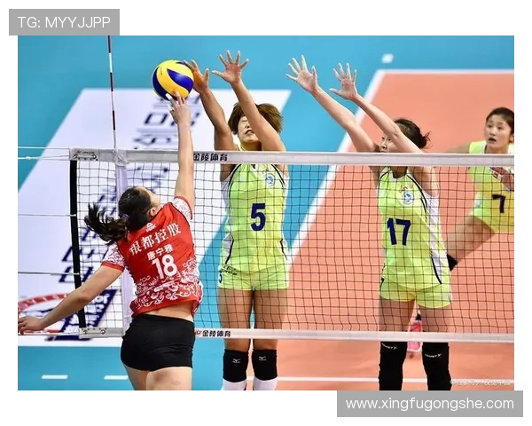排球深度：解密上海排球队的盯防