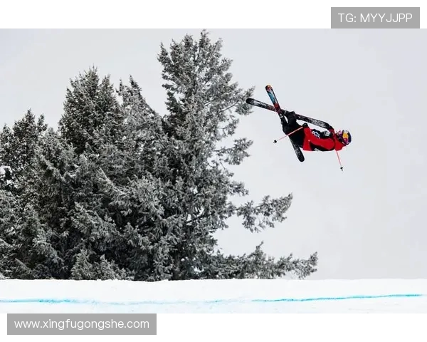极限运动新手必看全面入门指南助你轻松掌握节奏技巧