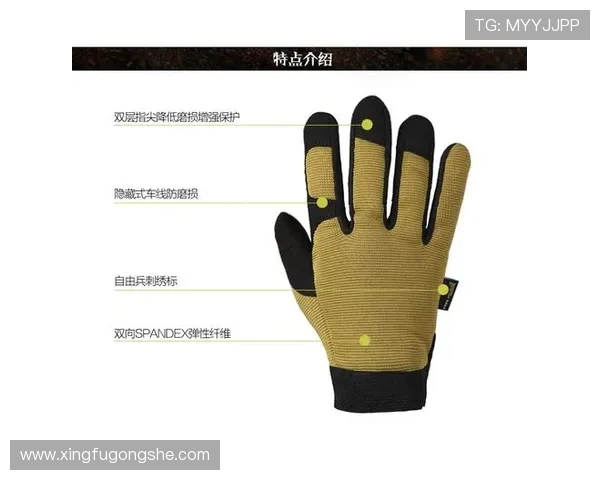 武汉攀岩队的战术革新与转换打法深度解析