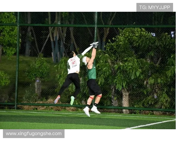 科学飞盘比赛经验与训练方法全面解析与实用技巧分享