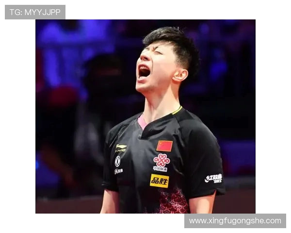 乒乓球技术实力权威发布全新榜单揭晓引发热议